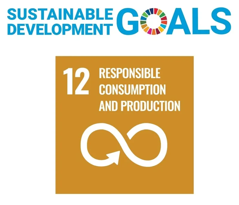 SDG 12 symbol for sustainability