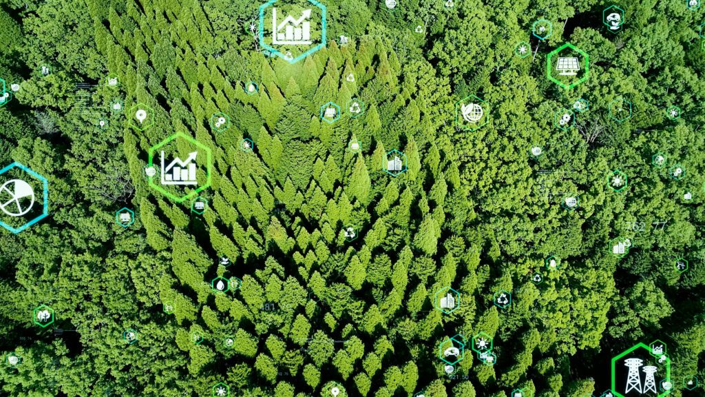 carbon offset reforestation aerial